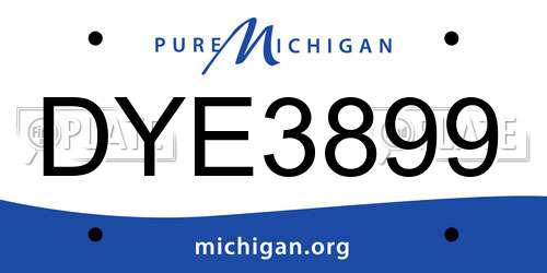 DYE3899 Michigan License Plate