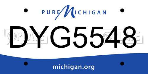 DYG5548 Michigan License Plate