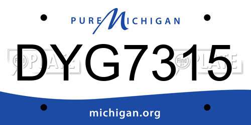DYG7315 Michigan License Plate