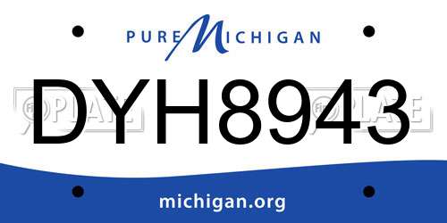 DYH8943 Michigan License Plate