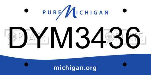 DYM3436 Michigan License Plate