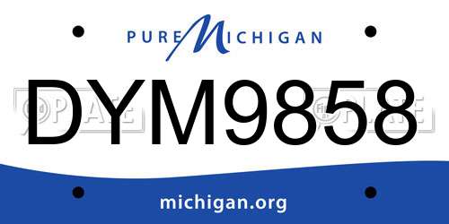 DYM9858 Michigan License Plate