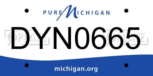 DYN0665 Michigan License Plate
