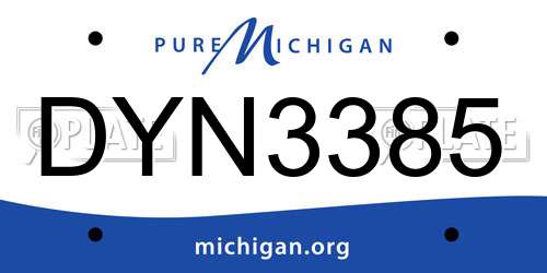 DYN3385 Michigan License Plate