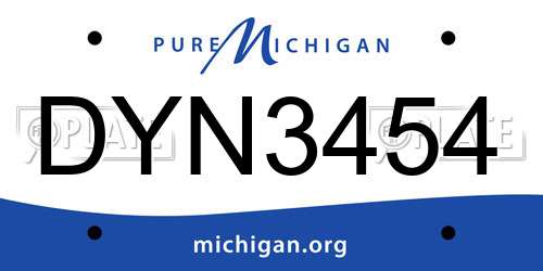 DYN3454 Michigan License Plate