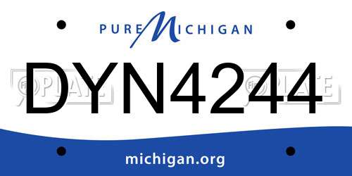 DYN4244 Michigan License Plate