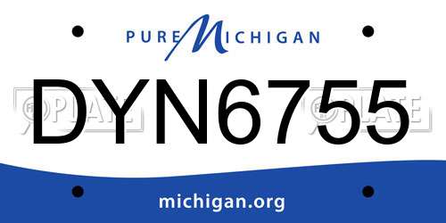 DYN6755 Michigan License Plate