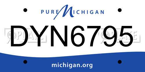 DYN6795 Michigan License Plate