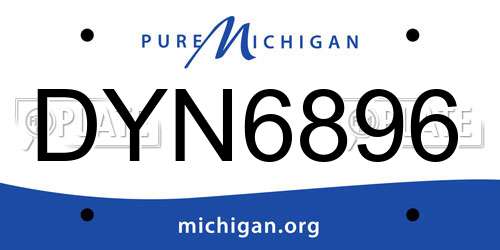 DYN6896 Michigan License Plate