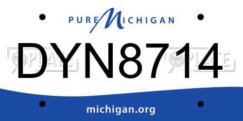 DYN8714 Michigan License Plate