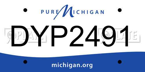 DYP2491 Michigan License Plate