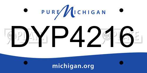 DYP4216 Michigan License Plate