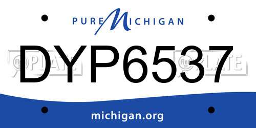 DYP6537 Michigan License Plate