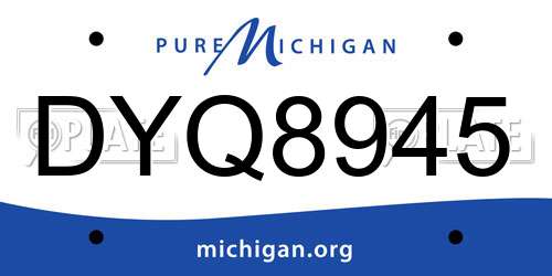 DYQ8945 Michigan License Plate