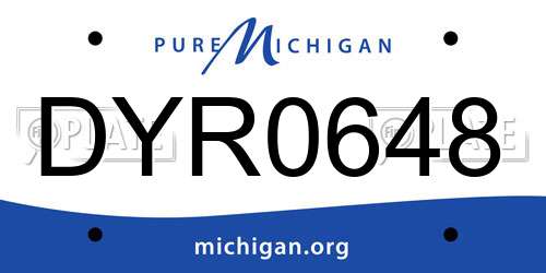 DYR0648 Michigan License Plate
