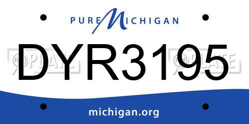 DYR3195 Michigan License Plate