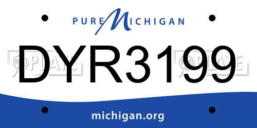 DYR3199 Michigan License Plate