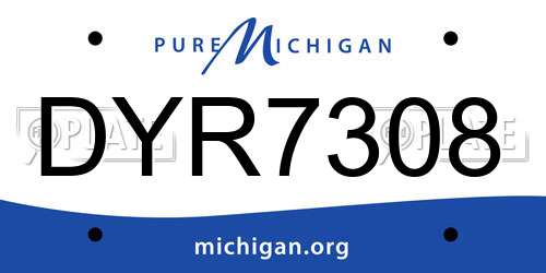 DYR7308 Michigan License Plate