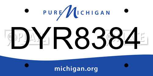 DYR8384 Michigan License Plate