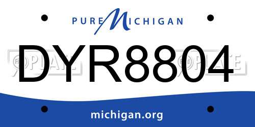 DYR8804 Michigan License Plate