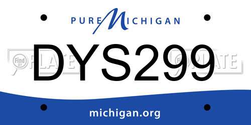 DYS299 Michigan License Plate