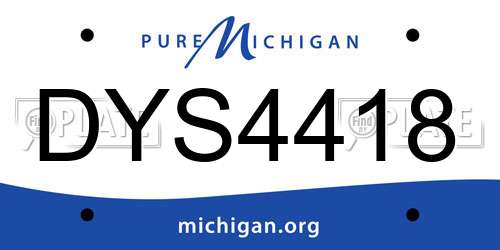 DYS4418 Michigan License Plate
