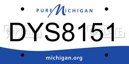 DYS8151 Michigan License Plate