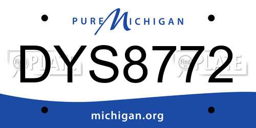 DYS8772 Michigan License Plate