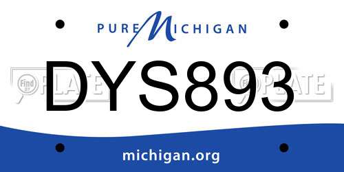 DYS893 Michigan License Plate