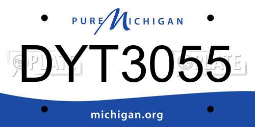 DYT3055 Michigan License Plate