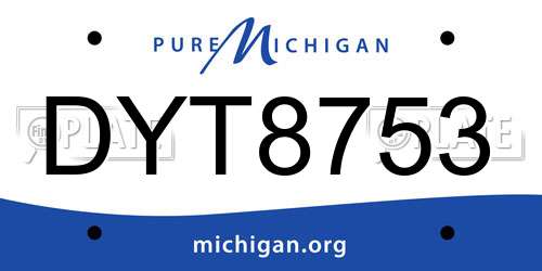 DYT8753 Michigan License Plate