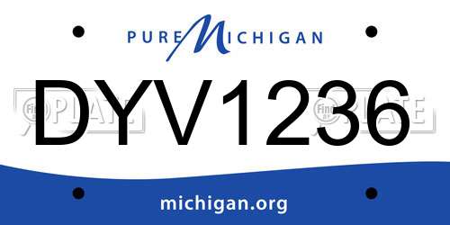 DYV1236 Michigan License Plate