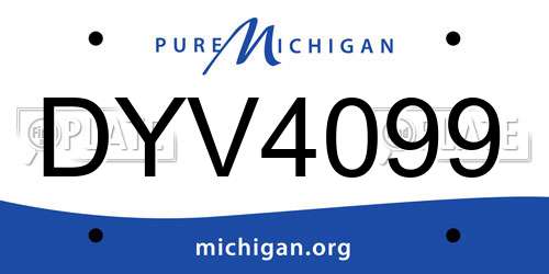 DYV4099 Michigan License Plate