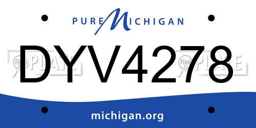 DYV4278 Michigan License Plate