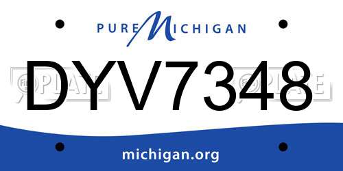 DYV7348 Michigan License Plate