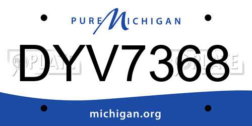 DYV7368 Michigan License Plate