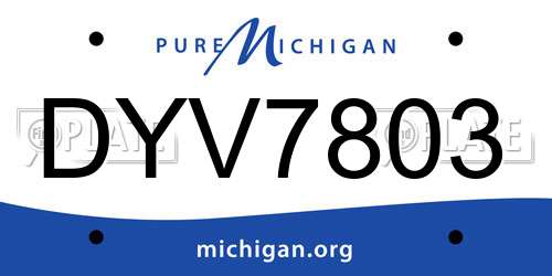 DYV7803 Michigan License Plate