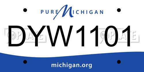 DYW1101 Michigan License Plate