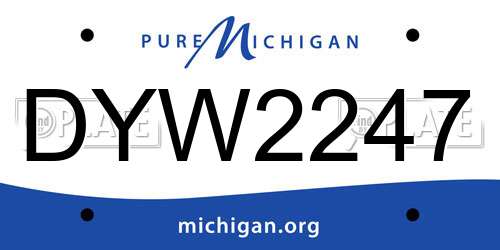 DYW2247 Michigan License Plate