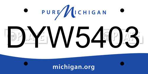 DYW5403 Michigan License Plate