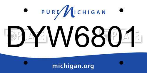 DYW6801 Michigan License Plate