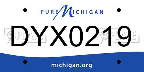 DYX0219 Michigan License Plate