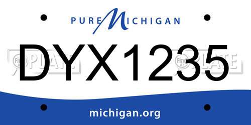 DYX1235 Michigan License Plate