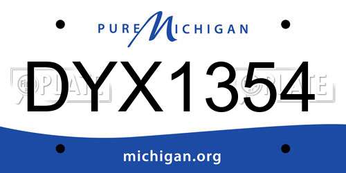 DYX1354 Michigan License Plate