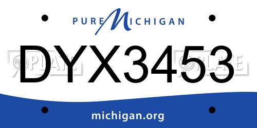 DYX3453 Michigan License Plate