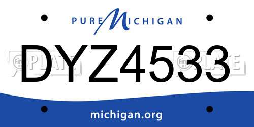 DYZ4533 Michigan License Plate
