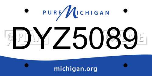 DYZ5089 Michigan License Plate