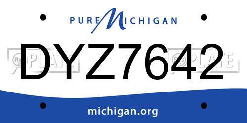 DYZ7642 Michigan License Plate