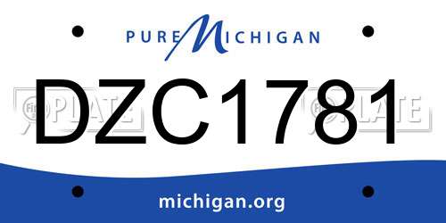 DZC1781 Michigan License Plate