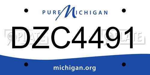 DZC4491 Michigan License Plate